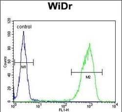 Invitrogen TANK Polyclonal Antibody 400 &mu;L; Unconjugated:Antibodies,