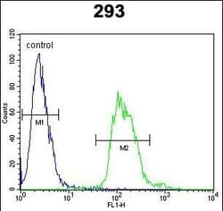 Invitrogen TAC1 C-terminal Peptide Polyclonal Antibody 400 &mu;L; Unconjugated:Antibodies,