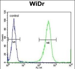 Invitrogen DIRAS3 Polyclonal Antibody 400 &mu;L; Unconjugated:Antibodies,