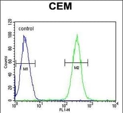 Invitrogen Brevican Polyclonal Antibody 400 &mu;L; Unconjugated:Anticorps,