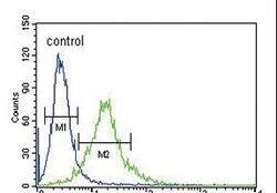 Invitrogen Ku70 Polyclonal Antibody 400 &mu;L; Unconjugated:Antibodies,