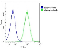 Invitrogen IL-1 alpha Polyclonal Antibody 400 &mu;L; Unconjugated:Antibodies,
