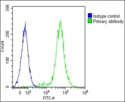 Invitrogen IL-1 alpha Polyclonal Antibody 400 &mu;L; Unconjugated:Antibodies,