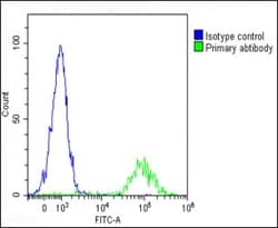 Invitrogen IL-1 alpha Polyclonal Antibody 400 &mu;L; Unconjugated:Antibodies,