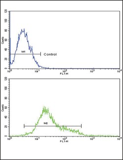 Invitrogen CSF1R Polyclonal Antibody 400 &mu;L; Unconjugated:Antibodies,