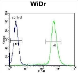 Invitrogen S6 Polyclonal Antibody 400 &mu;L; Unconjugated:Antibodies, Polyclonal