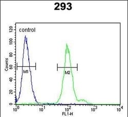 Invitrogen Complement Factor B Polyclonal Antibody 400 &mu;L; Unconjugated:Antibodies,