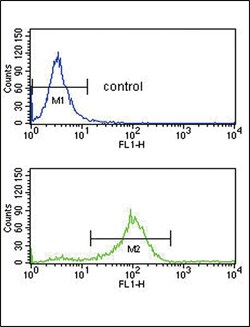 Invitrogen SFRP1 Polyclonal Antibody 400 &mu;L; Unconjugated:Antibodies,