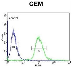 Invitrogen UTY Polyclonal Antibody 400 μL; Unconjugated:Antibodies,