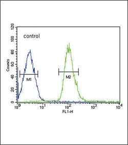 Invitrogen DUSP2 Polyclonal Antibody 400 &mu;L | Buy Online | Invitrogen&trade; | Fisher Scientific
