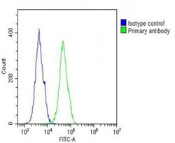 Invitrogen COL17A1 Polyclonal Antibody 400 &mu;L; Unconjugated:Antibodies,