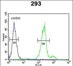 Invitrogen CLRN3 Polyclonal Antibody 400 &mu;L; Unconjugated:Antibodies,