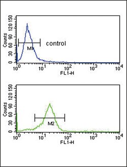 Invitrogen OPRM1 Polyclonal Antibody 400 &mu;L; Unconjugated:Antibodies,