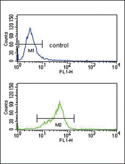 Invitrogen GNAO1 Polyclonal Antibody 400 &mu;L; Unconjugated:Antibodies,