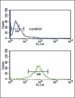 Invitrogen ACOT8 Polyclonal Antibody 400 &mu;L; Unconjugated:Antibodies,