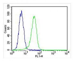 Invitrogen PROX1 Polyclonal Antibody 400 &mu;L; Unconjugated:Antibodies,
