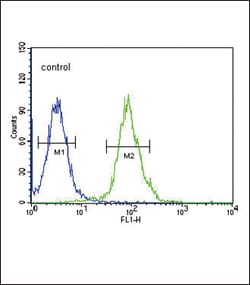 Invitrogen TPH2 Polyclonal Antibody 400 &mu;L; Unconjugated:Antibodies,