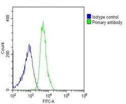 Invitrogen Cdc73 Polyclonal Antibody 400 &mu;L; Unconjugated:Antibodies,