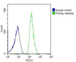 Invitrogen Cdc73 Polyclonal Antibody 400 &mu;L; Unconjugated:Antibodies,