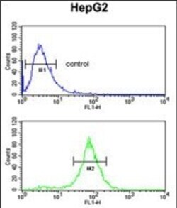 Invitrogen ELOVL2 Polyclonal Antibody 400 &mu;L; Unconjugated:Antibodies,