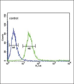 Invitrogen FCGR1B Polyclonal Antibody 400 &mu;L; Unconjugated:Antibodies,