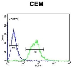 Invitrogen SLC22A6 Polyclonal Antibody 400 &mu;L; Unconjugated:Antibodies,