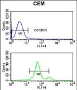Invitrogen ASIC1 Polyclonal Antibody 400 &mu;L; Unconjugated:Antibodies,