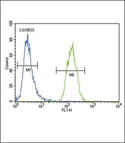 Invitrogen XDH Polyclonal Antibody 400 &mu;L | Buy Online | Invitrogen&trade; | Fisher Scientific