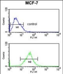Invitrogen SNRPD3 Polyclonal Antibody 400 μL; Unconjugated:Antibodies,