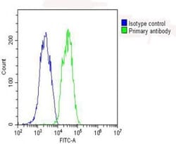 Invitrogen GPX1 Polyclonal Antibody 400 &mu;L; Unconjugated:Antibodies,
