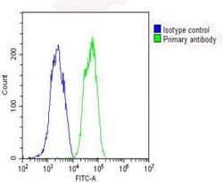 Invitrogen GPX1 Polyclonal Antibody 400 &mu;L; Unconjugated:Antibodies,
