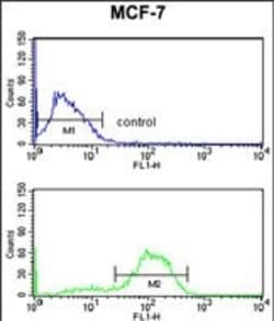 Invitrogen DAGLB Polyclonal Antibody 400 &mu;L; Unconjugated:Antibodies,
