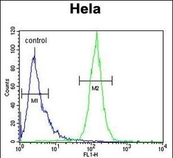 Invitrogen Cyclophilin C Polyclonal Antibody 400 &mu;L; Unconjugated:Antibodies,