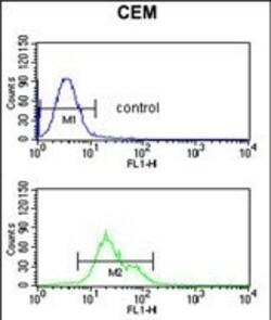 SLC39A8 Polyclonal Antibody:Antibodies, Polyclonal