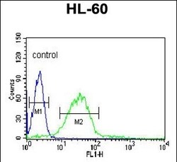 Invitrogen HSL Polyclonal Antibody 400 &mu;L; Unconjugated:Antibodies,