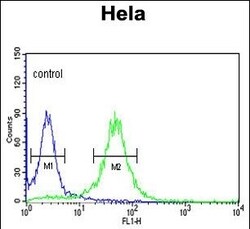 Invitrogen COG2 Polyclonal Antibody 400 &mu;L; Unconjugated:Antibodies,
