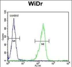 Invitrogen IL-31 Polyclonal Antibody 400 &mu;L; Unconjugated:Antibodies,