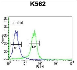 Invitrogen JMJD2B Polyclonal Antibody 400 &mu;L; Unconjugated:Antibodies,