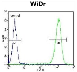 Invitrogen TSPAN33 Polyclonal Antibody 400 &mu;L; Unconjugated:Antibodies,