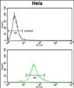 Acid Phosphatase 1 Polyclonal Antibody:Antibodies, Polyclonal