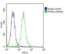 Invitrogen HBA2 Polyclonal Antibody 200 μL; Unconjugated:Antibodies,