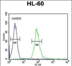 Invitrogen IL2RG Polyclonal Antibody 400 &mu;L; Unconjugated:Antibodies,
