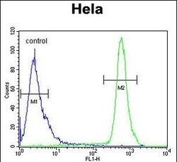 HS3ST2 Polyclonal Antibody:Antibodies, Polyclonal