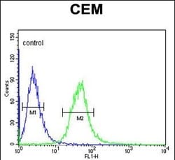 alpha Amylase 1 Polyclonal Antibody:Antibodies, Polyclonal