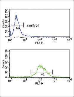 Invitrogen TAT Polyclonal Antibody 400 &mu;L; Unconjugated:Antibodies,
