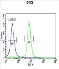 Invitrogen STK40 Polyclonal Antibody 400 &mu;L; Unconjugated:Antibodies,