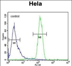 Invitrogen STING Polyclonal Antibody 400 μL; Unconjugated:Antibodies,