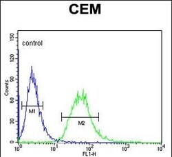 Invitrogen Carbonic Anhydrase VI Polyclonal Antibody 400 &mu;L; Unconjugated:Antibodies,