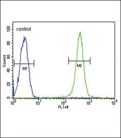 Invitrogen GPI Polyclonal Antibody 400 &mu;L; Unconjugated:Antibodies,