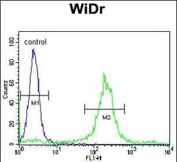 Invitrogen ADAM19 Polyclonal Antibody 400 &mu;L; Unconjugated:Antibodies,